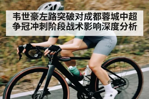 韦世豪左路突破对成都蓉城中超争冠冲刺阶段战术影响深度分析
