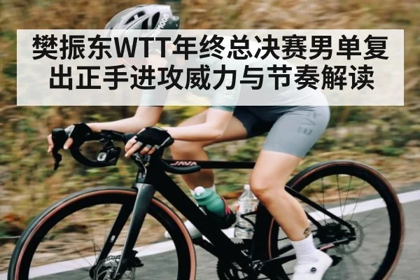樊振东WTT年终总决赛男单复出正手进攻威力与节奏解读